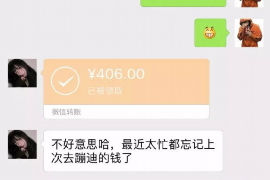 团城山为什么选择专业追讨公司来处理您的债务纠纷？